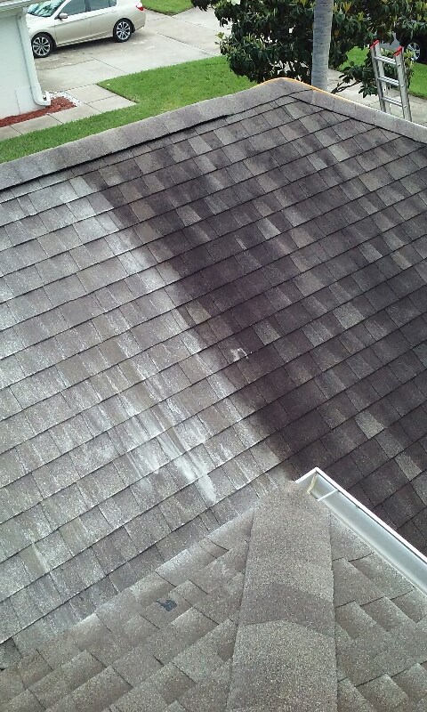 Roof cleaning by Renew and Restore